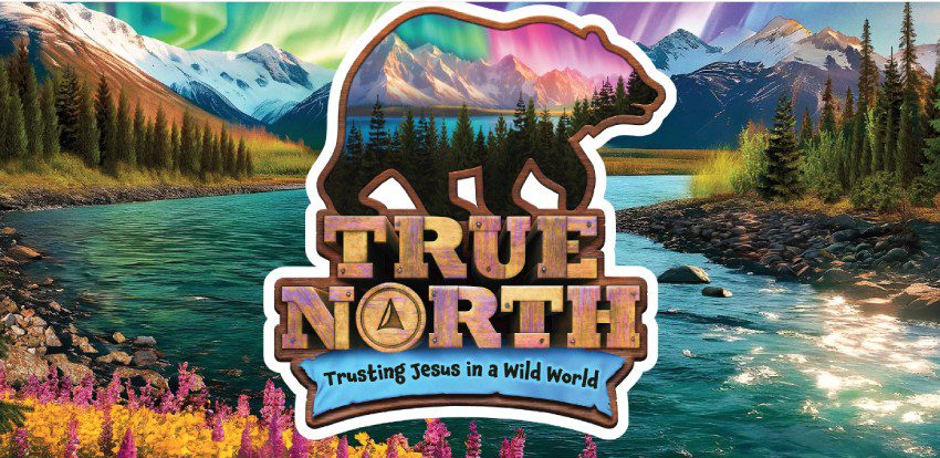 True North Logo